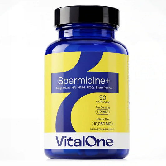 Spermidine